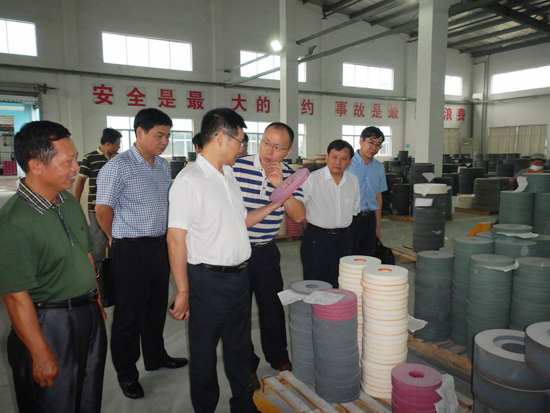 江西省科技廳調(diào)研冠億砂輪對(duì)外科技合作情況